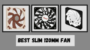 Best Slim 120mm Fan